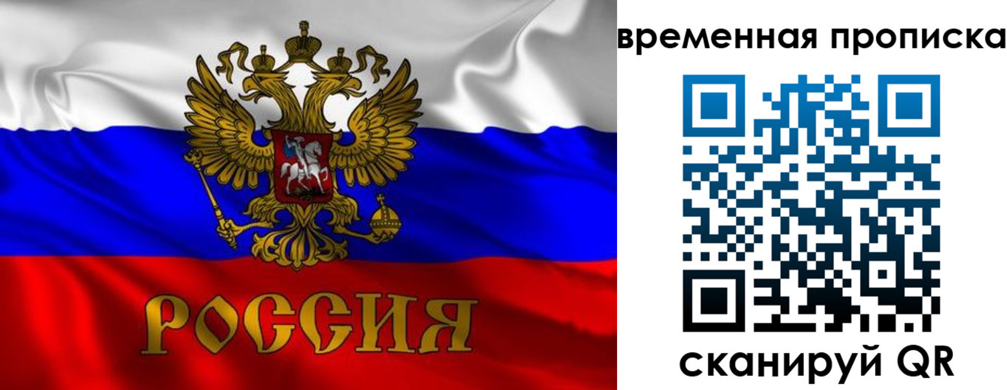 прописка законно в Поворино